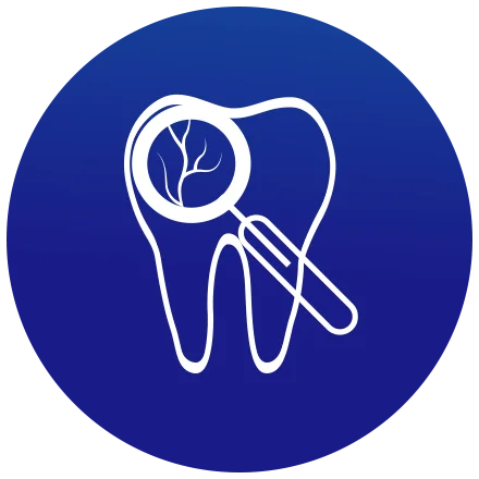 Digital Occlusal Analysis
